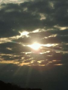 Saw some sunshine this week