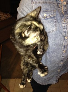 The car riding culprit Pepper