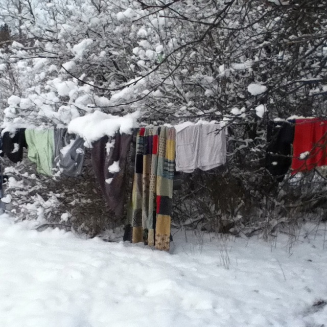snowy clothesline