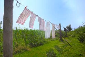 Wäsche an der Wäscheleine