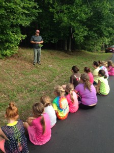 Learning about trees